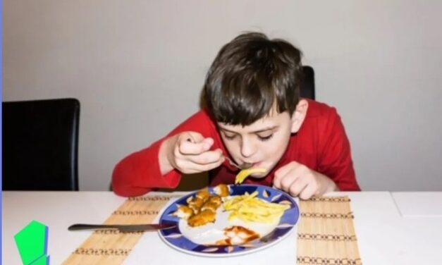 Desenvolvendo a Autonomia no Transtorno do Espectro Autista por Meio do Programa Visual